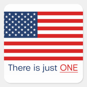 Es gibt nur eine amerikanische Flagge. Aufkleber