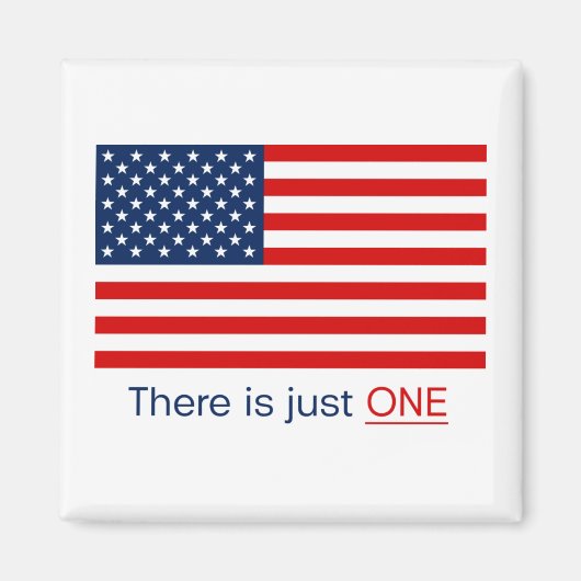 Es gibt nur eine amerikanische Flagge. Magnet (Vorne)