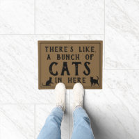 Es gibt so viele Katzen hier drin | Funny Cat