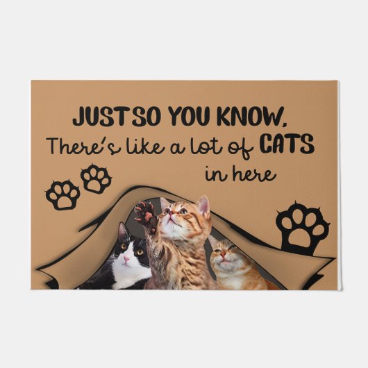 Es gibt viele Katzen hier drin, Innenmatte Fußmatte (Vorderseite)