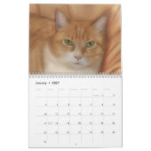 Es gießt in Strömen! Kalender (Jan 2027)