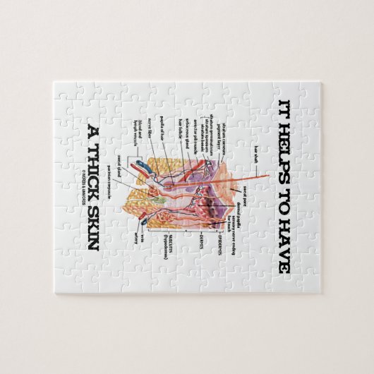 Es hilft, eine starke Haut (Anatomie-Spaß) zu Puzzle (Horizontal)