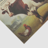 Es ist alles Bull Seidenpapier (Ausschnitt)