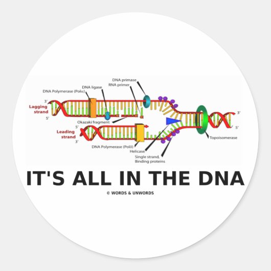 Es ist alles in der DNS Runder Aufkleber (Vorderseite)