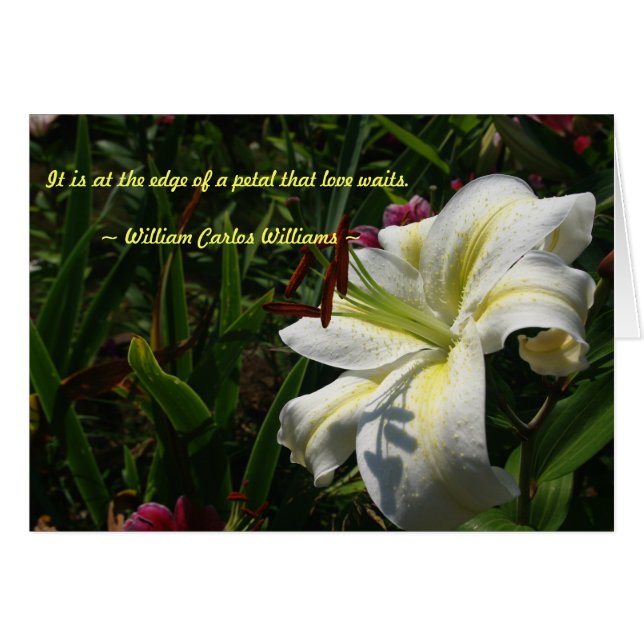 Es ist am Rand eines Blumenblattes, das Liebe (Vorderseite (Horizontal))