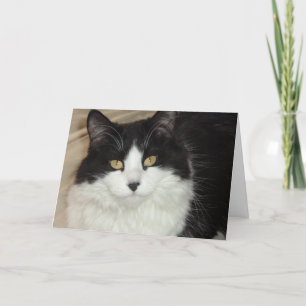 Es ist an der Zeit, dass Sie Zuhause/Valentine Spa Feiertagskarte