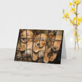 Es ist an der Zeit, den Spaß der Rentenzahlungen z Karte (Gelbe Blume)