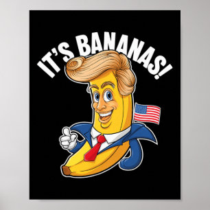 Es ist Bananen (für Maßstab) Starship Funny Meme S Poster