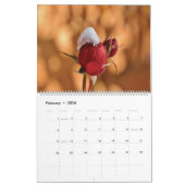 Es ist besser, spät als nie 2025 zu entschuldigen kalender (Feb 2026)