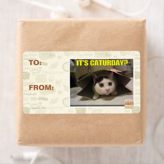 Es ist Caturday? (Insitu)