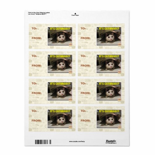 Es ist Caturday? (Vorne)