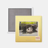 Es ist Caturday? Magnet (Vorderseite/Rückseite)