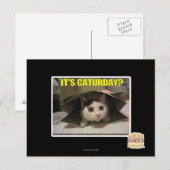 Es ist Caturday? Postkarte (Vorne/Hinten)