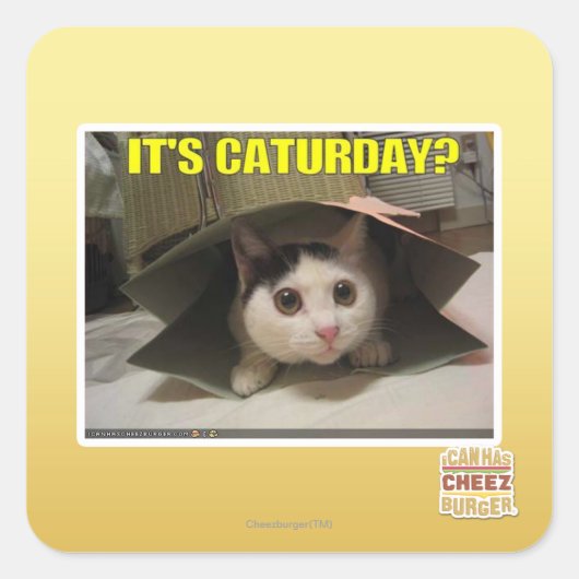 Es ist Caturday? Quadratischer Aufkleber (Vorderseite)