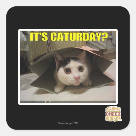 Es ist Caturday? Quadratischer Aufkleber (Vorderseite)