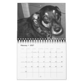Es ist das Leben 2008 eines Hundes Kalender (Feb 2027)