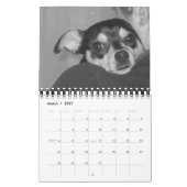 Es ist das Leben 2008 eines Hundes Kalender (Mär 2027)