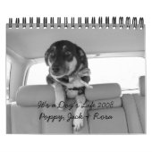 Es ist das Leben 2008 eines Hundes Kalender (Titelbild)