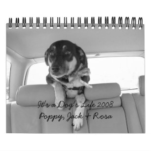 Es ist das Leben 2008 eines Hundes Kalender