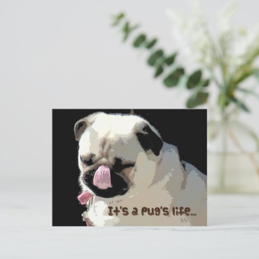 Es ist das Leben eines Mops… Postkarte (Stehend Vorderseite)