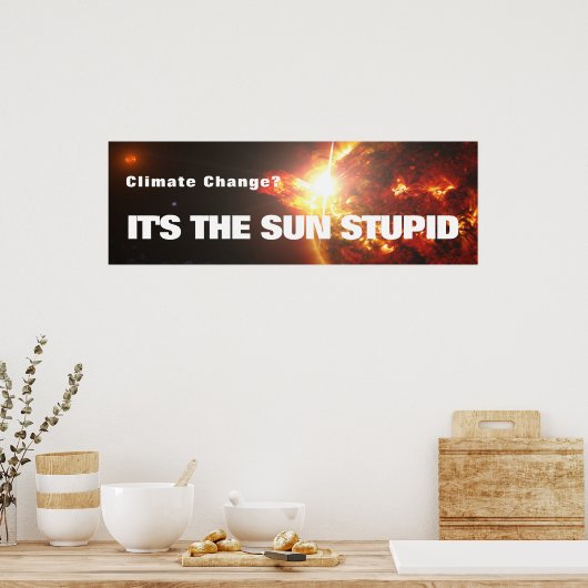 Es ist das Sun Stupid Poster (Küche)