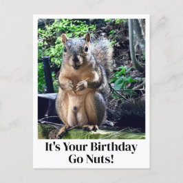 Es ist dein Geburtstag Go Nuts Funny Squirrel Joke Postkarte