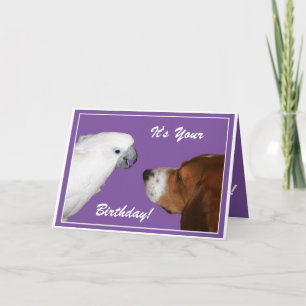 Es ist dein Geburtstag Karte