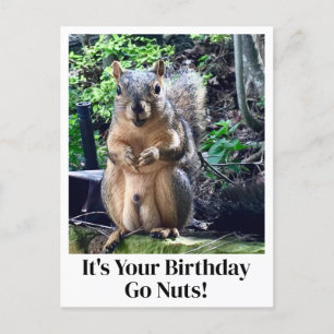 Es ist dein Geburtstag, werd verrückt! Lustiger Ei Postkarte