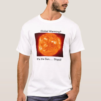 Es ist der dumme Sun! T-Shirt