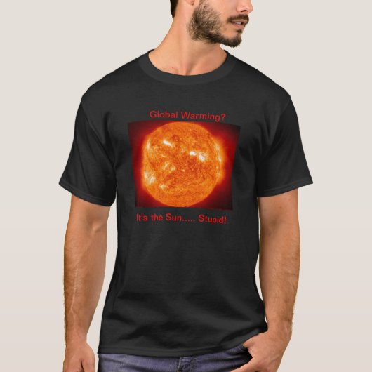 Es ist der dumme Sun! T-Shirt (Vorderseite)