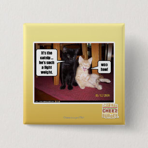 Es ist die Katzenminze Button