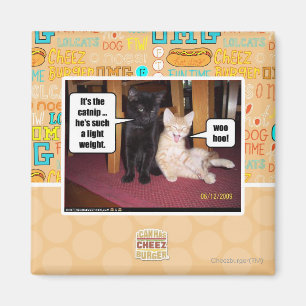 Es ist die Katzenminze Magnet