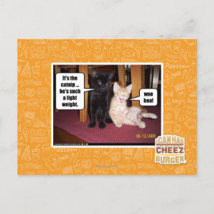 Es ist die Katzenminze Postkarte