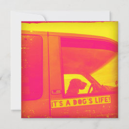 Es ist die Lebensgrüßkarte eines Hundes Karte