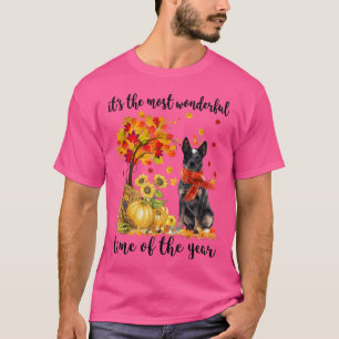 Es ist die wunderbarste Herbstzeit heilt Pumkin T-Shirt