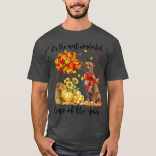 Es ist die wunderbarste Herbstzeit Pitbull Pumpkin T-Shirt