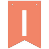 Es ist ein Baby-Pastel-Rainbow-Baby-Duschbanner Wimpelkette (Dritte Fahne)