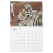 Es ist ein Chi-Sache-Chihuahua-Kalender Kalender (Feb 2026)