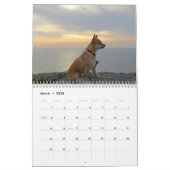 Es ist ein Chihuahua-Weltkalender Kalender (Mär 2026)