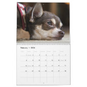 Es ist ein Chihuahua-Weltkalender Kalender (Feb 2026)