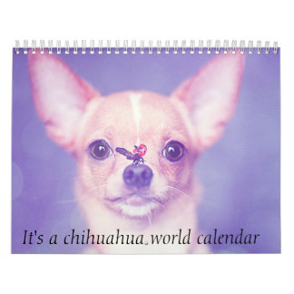 Es ist ein Chihuahua-Weltkalender Kalender