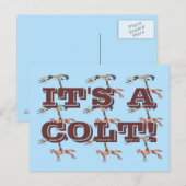 ES IST EIN COLT! POSTKARTE (Vorne/Hinten)