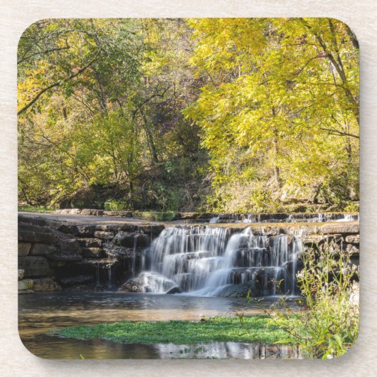 Es ist ein Dogwood-Wasserfall Getränkeuntersetzer (Vorderseite)