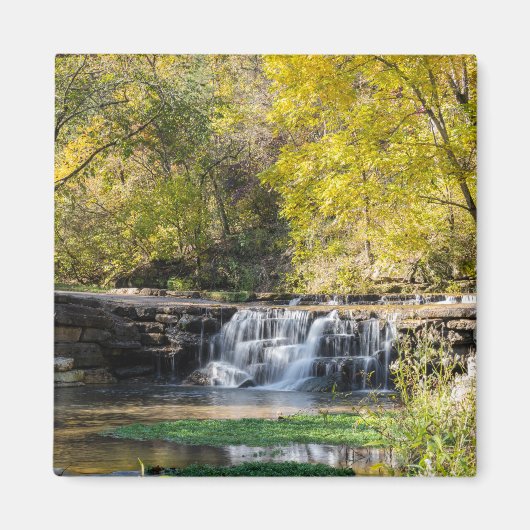 Es ist ein Dogwood-Wasserfall Magnet (Vorne)