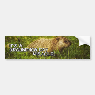 Es ist ein groundhog Tageswunder-Autoaufkleber Autoaufkleber