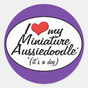 Es ist ein Hund! I Liebe mein MiniaturAussiedoodle Runder Aufkleber