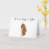 Es ist ein Hundeleben Niedlich Staffordshire Bull  Karte (Gelbe Blume)