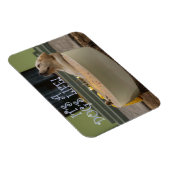 Es ist ein Hundelebensmagnet Magnet (Rechte Seite)