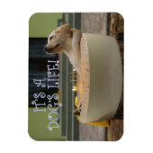 Es ist ein Hundelebensmagnet Magnet (Vertikal)