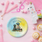 Es ist ein Junge | Baseball Themed Baby Dusche Pappteller (Party)